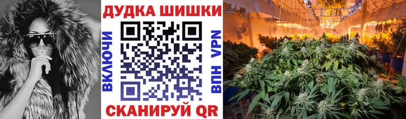 Где купить наркоту Петрозаводск A PVP  Метамфетамин  Кокаин  Мефедрон  АМФЕТАМИН 